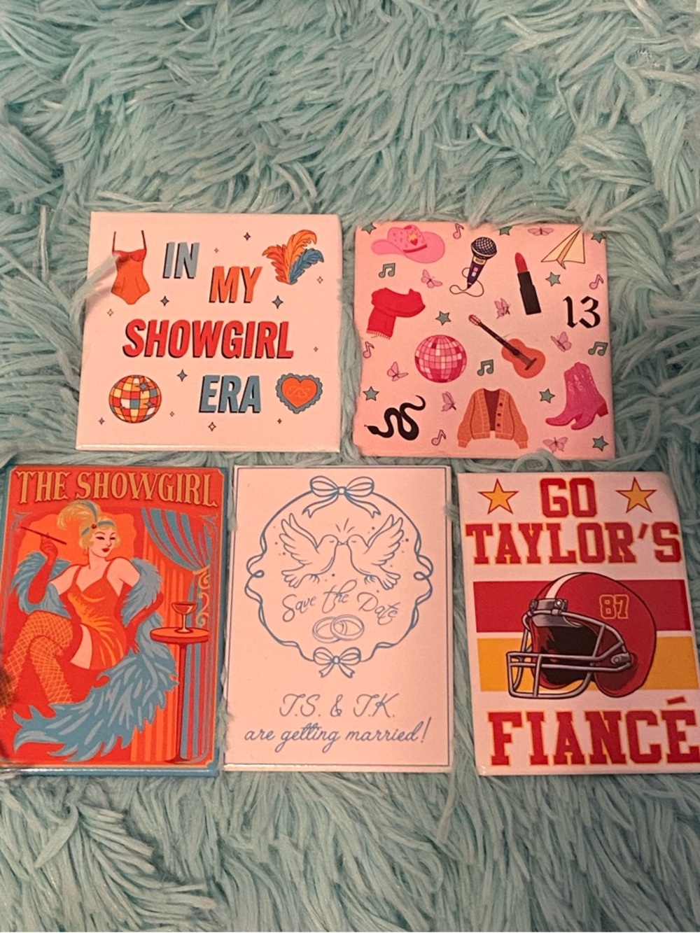 Taylor Swift Themed Magnet Bundle of 5
